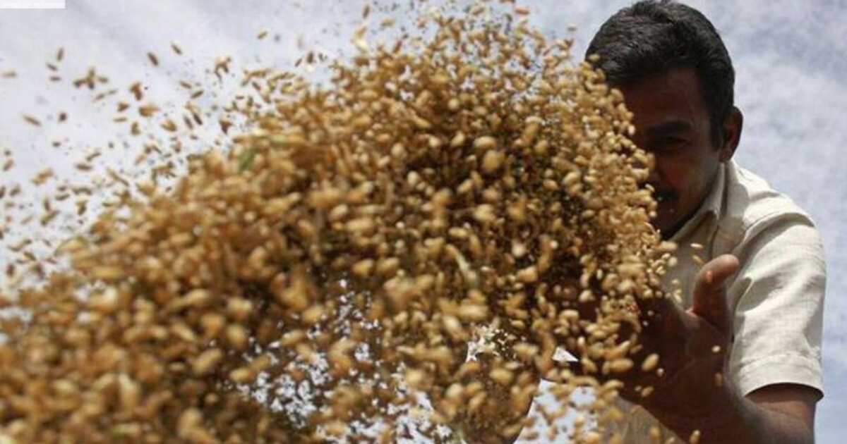 Latest estimate shows India's foodgrain production to be record high in 2021-22